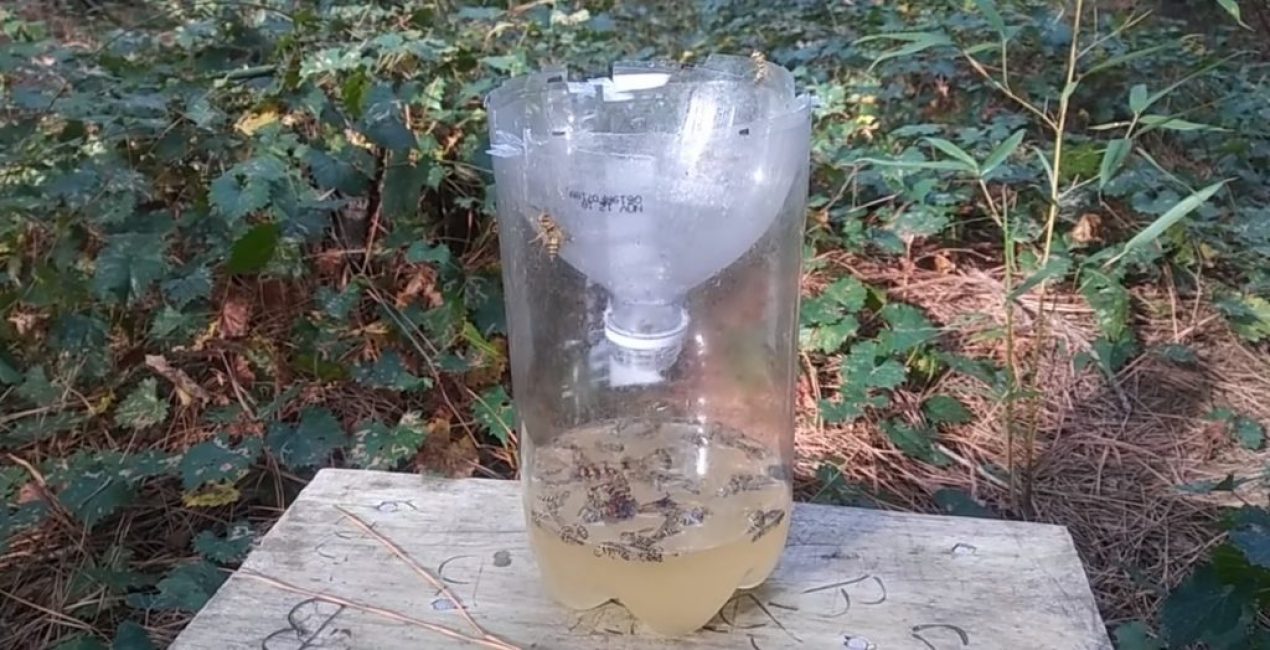 Le contenu du piège une heure après le début des travaux