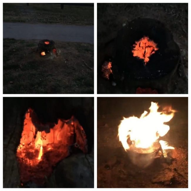 Souche en quatre heures