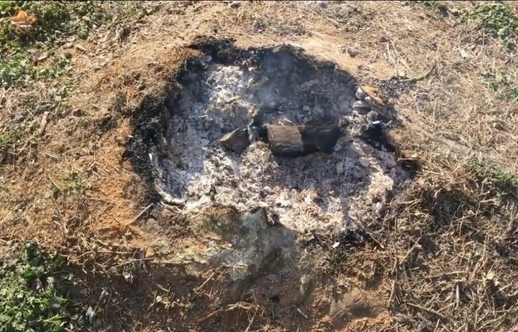 Souche en douze heures