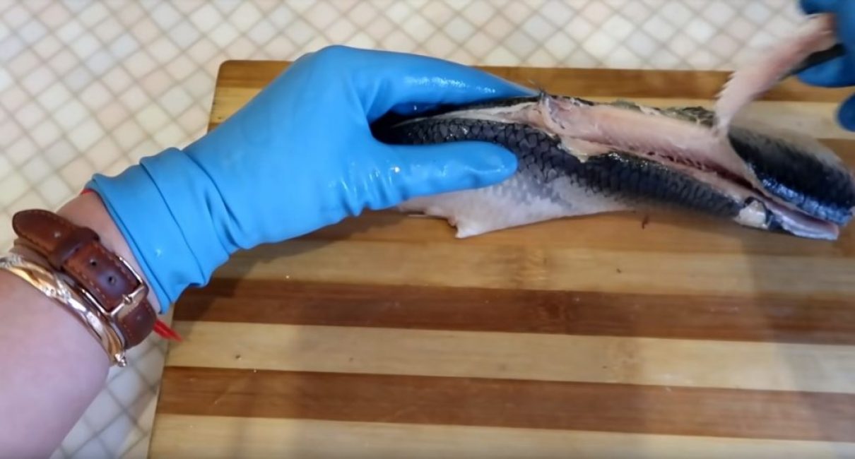 Retrait de la nageoire dorsale