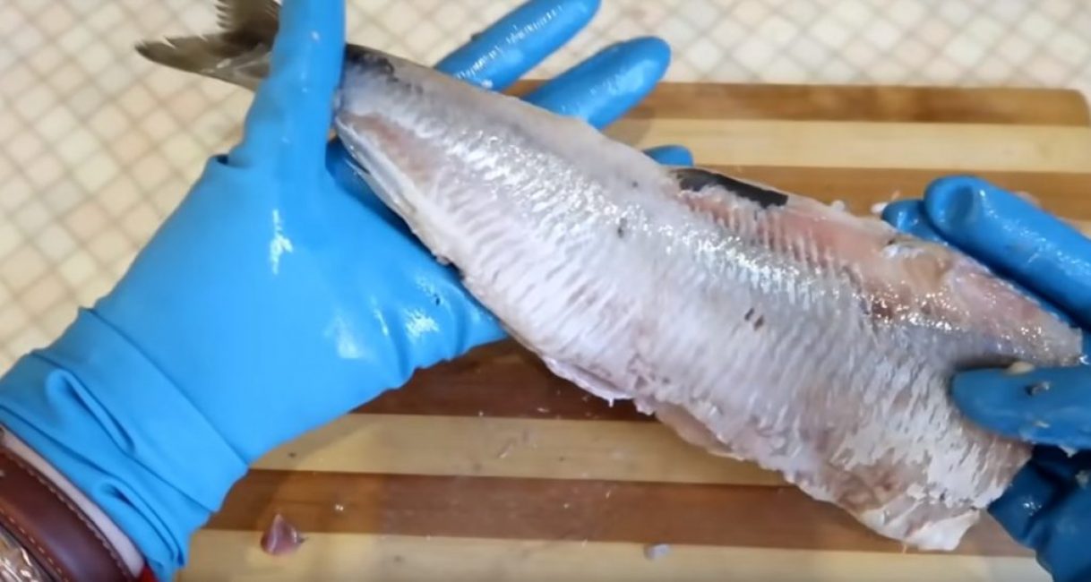 La peau est retirée des deux côtés de la carcasse