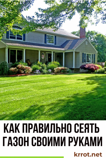 Comment semer la pelouse de vos propres mains