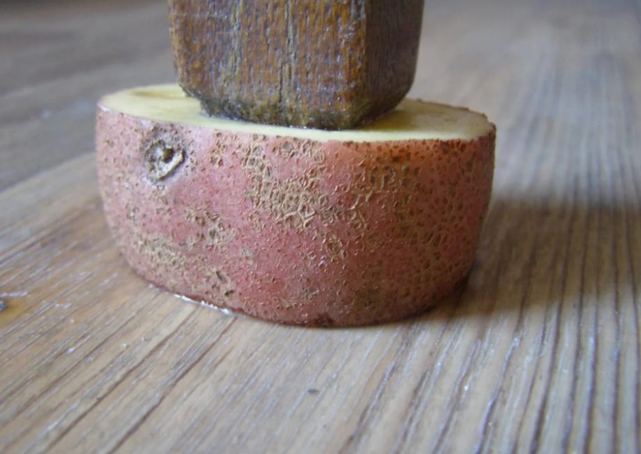 Déplacer des meubles avec des pommes de terre