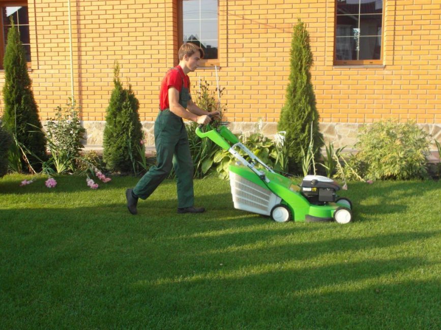 L'entretien des pelouses