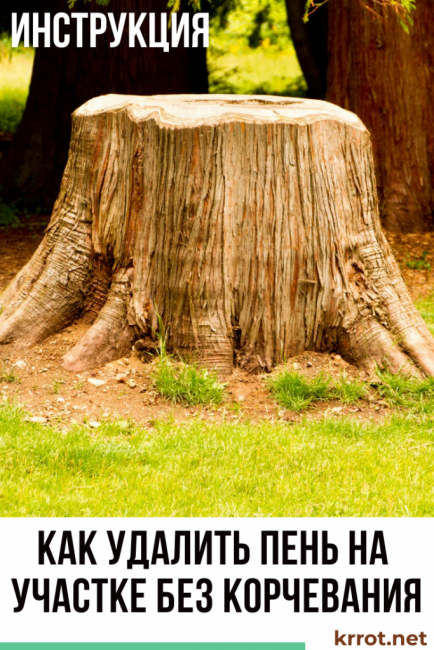 comment enlever une souche sur une parcelle sans arracher