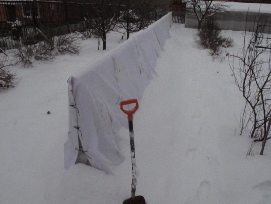 L'utilisation du cadre Semykin sans enlever la vigne du treillis