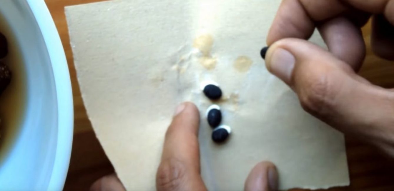 Il est recommandé de frotter chaque graine sur du papier individuellement.