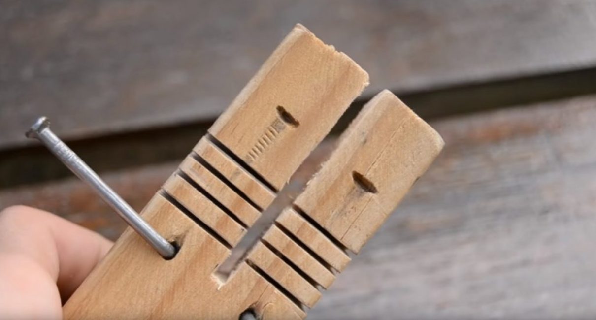 Vue de la niche agrandie