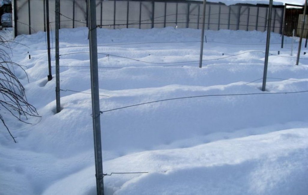 De la neige pour s'abriter