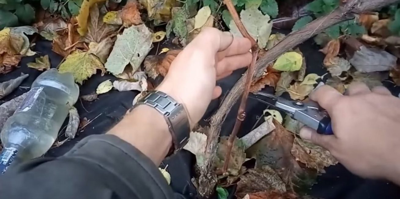 Noeud de remplacement à 3 boutons