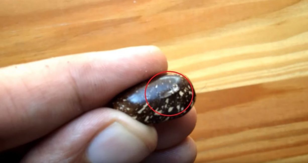 Scier à la surface de la graine