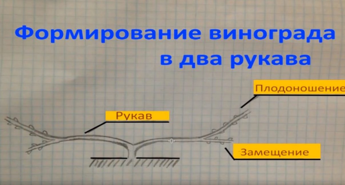 Une manche va à gauche, une - à droite