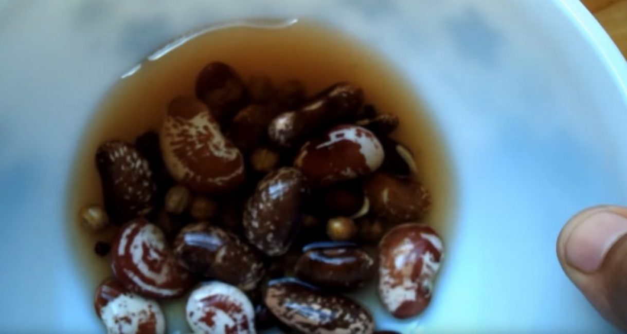 Les graines coupées sont placées dans un récipient avec de l'eau