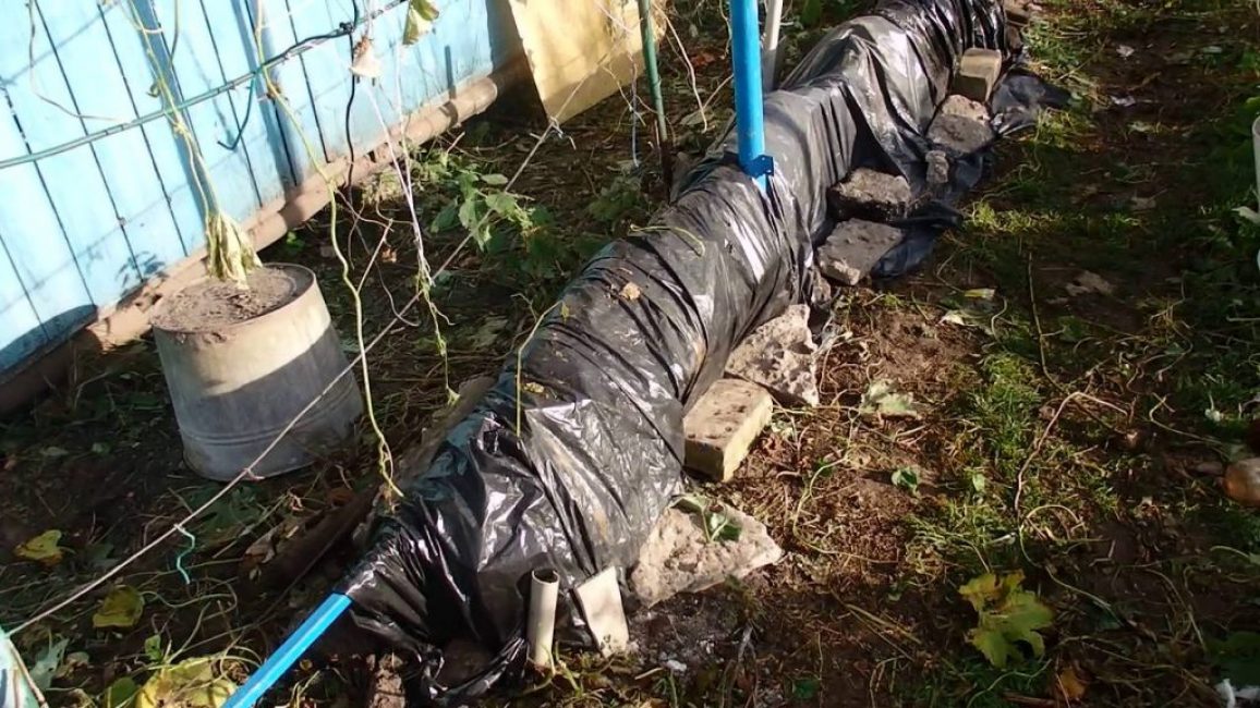 Abri de raisins pour l'hiver