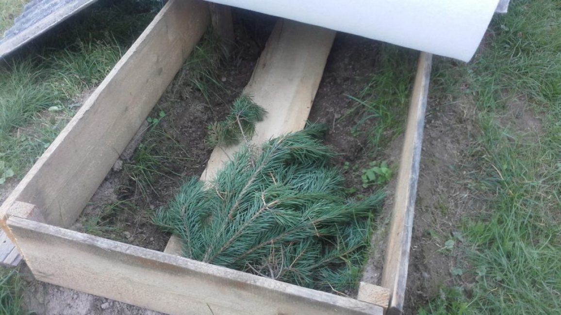 Abri de raisins pour l'hiver