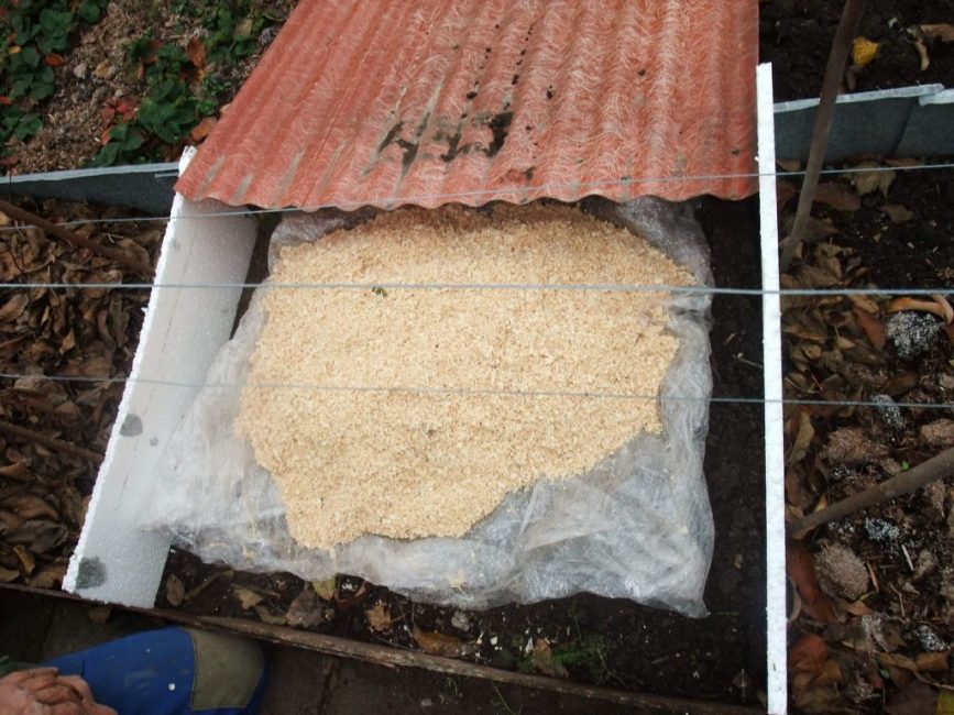 Abri de raisins pour l'hiver