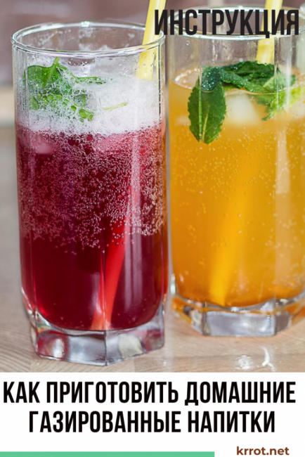 boissons gazeuses maison