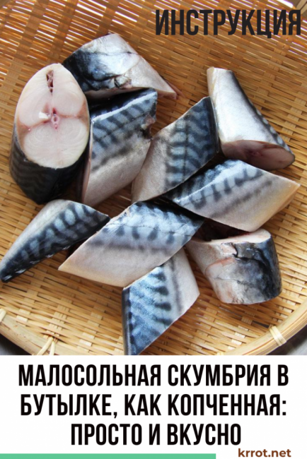 Maquereau légèrement salé en bouteille, comme fumé
