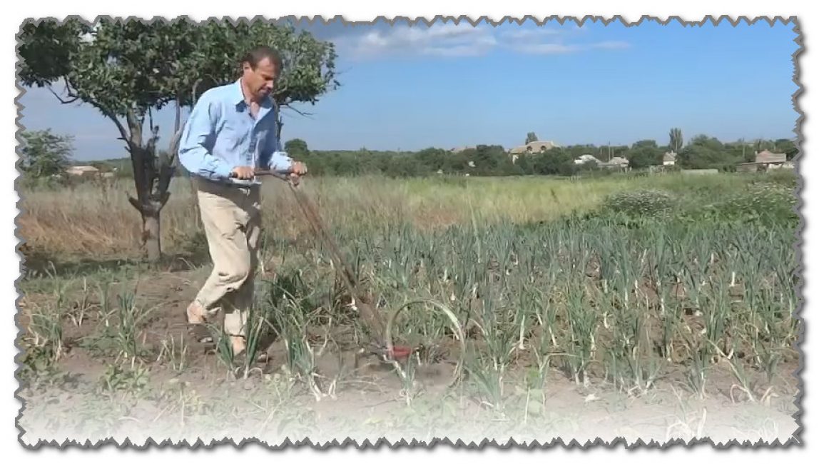 Source : https://youtu.be/dNTDJq3Cr_A