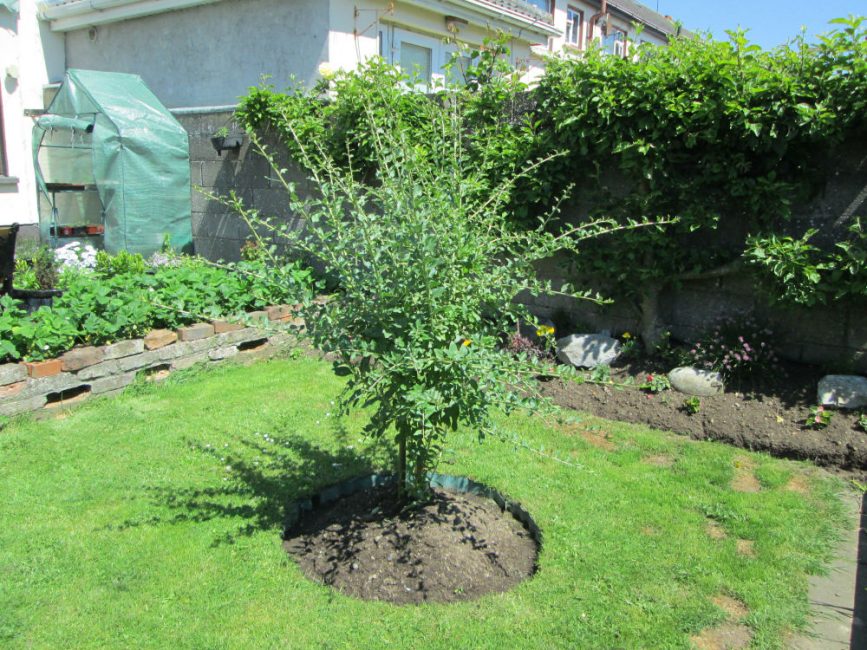 Une taille régulière crée un look coloré