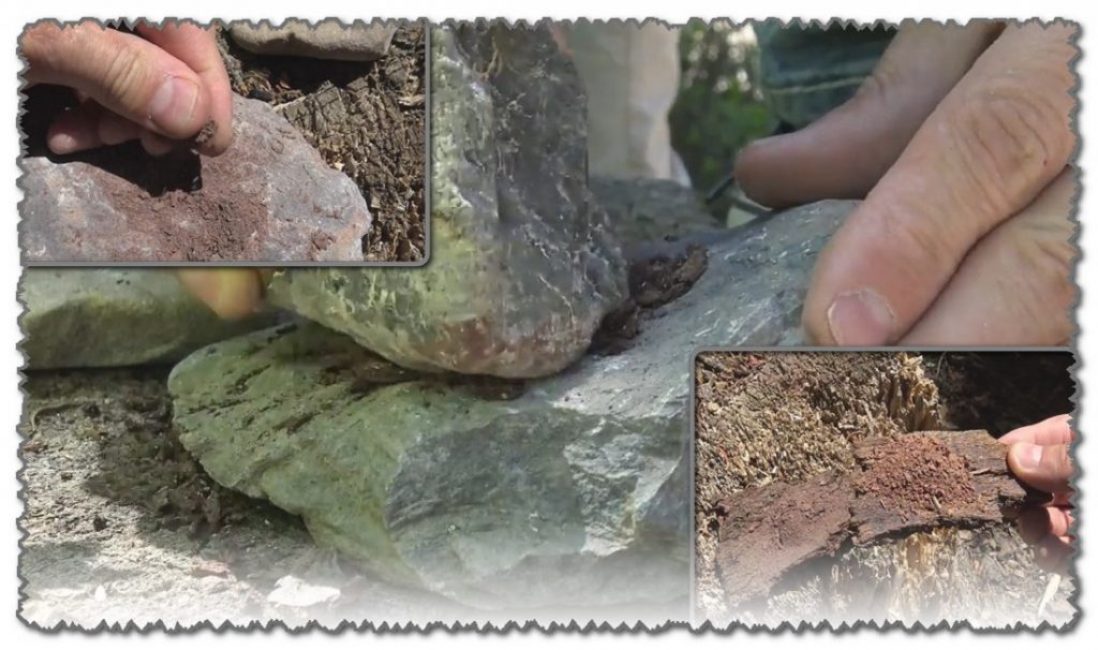 Source : https://youtu.be/vMcgs7Tx3Hs