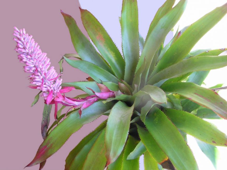 Une inspection régulière et approfondie permettra d'éviter d'éventuels problèmes