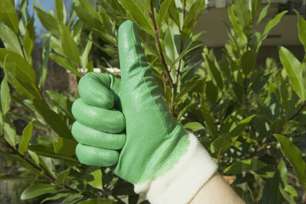 Il est très important de prendre soin de vos mains.
