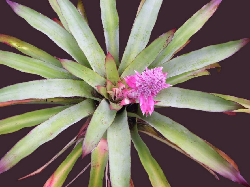 Une vraie décoration