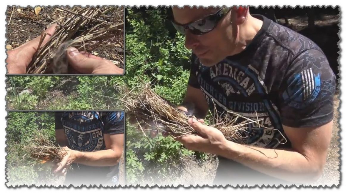 Source : https://youtu.be/vMcgs7Tx3Hs