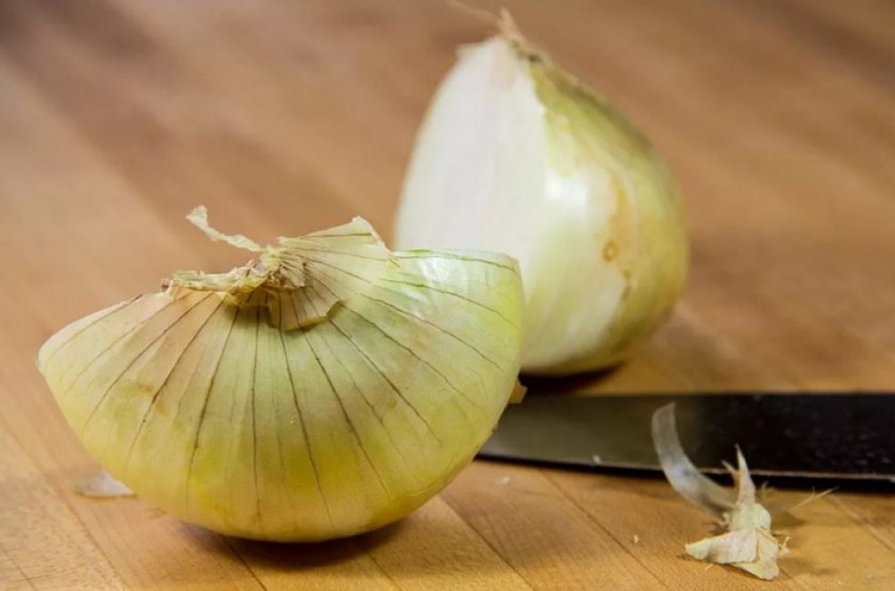 L'oignon haché ou râpé est utilisé comme inhalation pour la toux