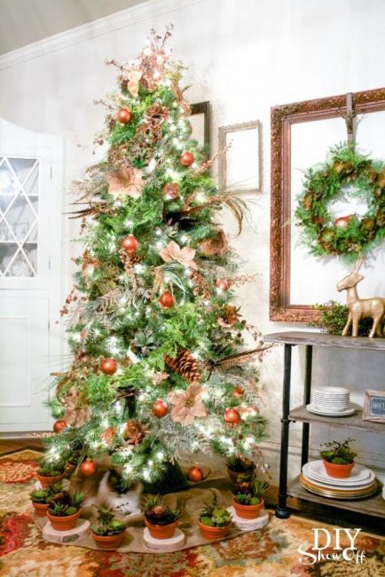 L'épinette peut être décorée non seulement avec des poinsettias artificiels, mais également avec des plantes grasses vivantes.