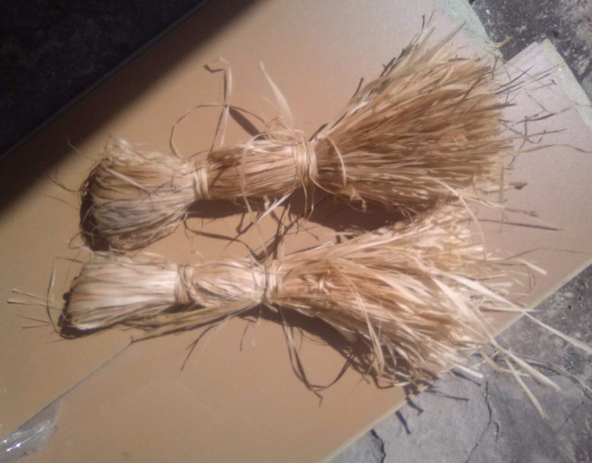 Brosses à raphia pour blanchir les troncs