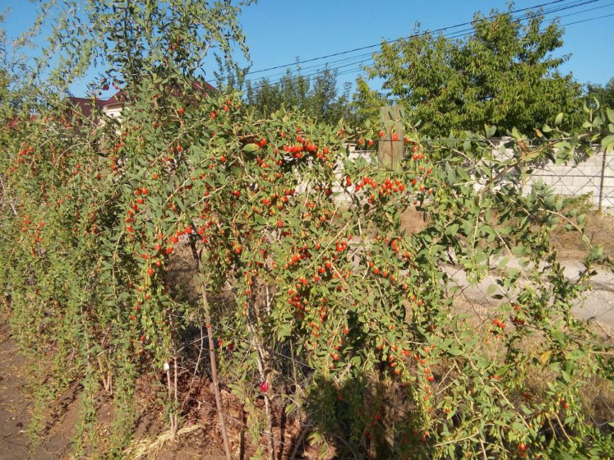 Bon éclairage préféré