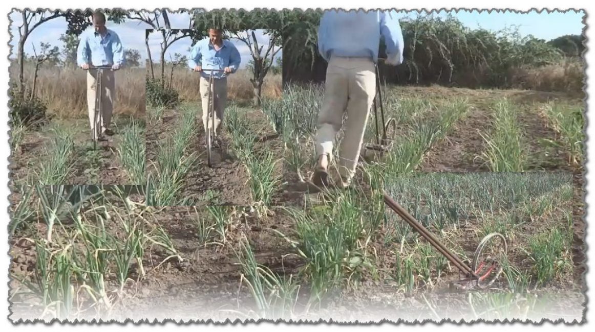 Source : https://youtu.be/dNTDJq3Cr_A