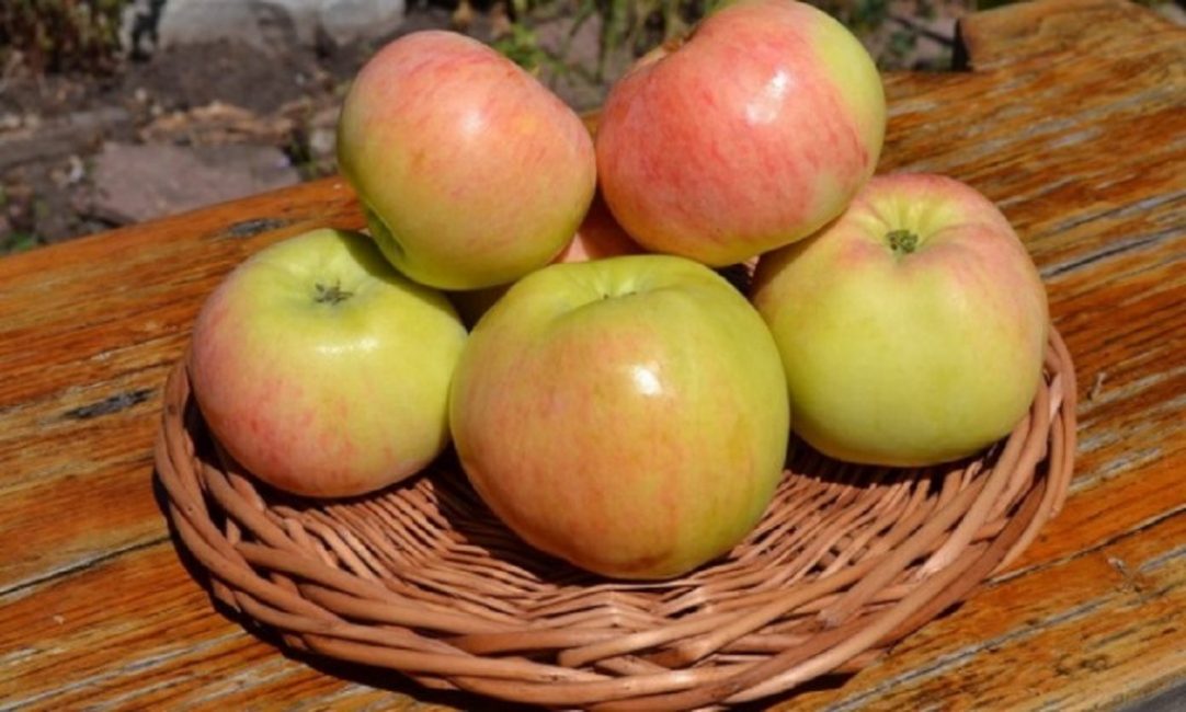 Grushovka Région de Moscou