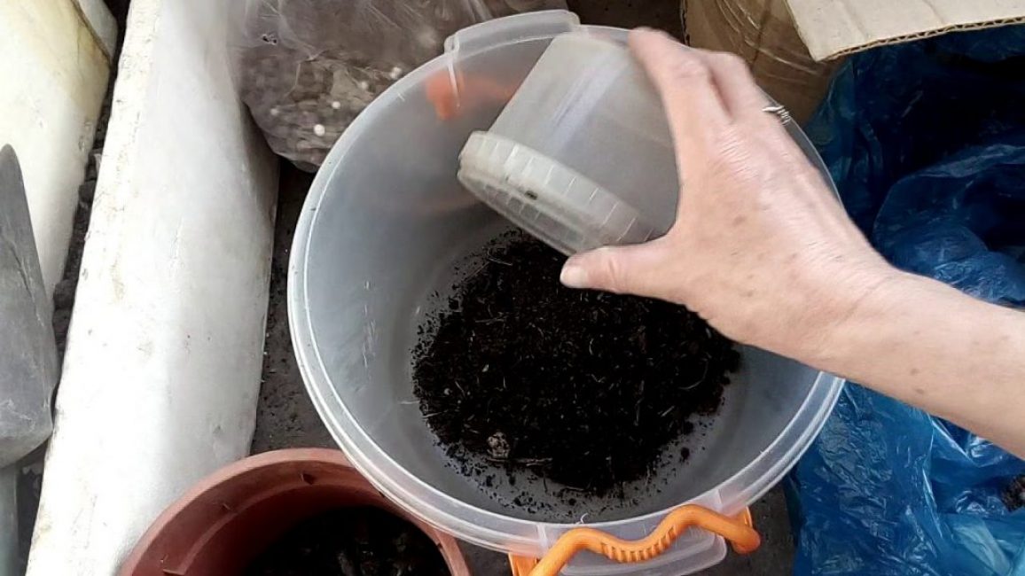 Composition du sol pour l'adénium