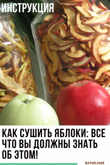 comment sécher les pommes