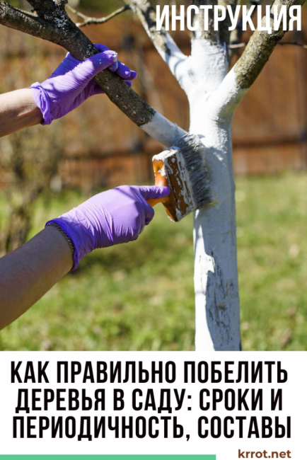 blanchir les arbres en automne