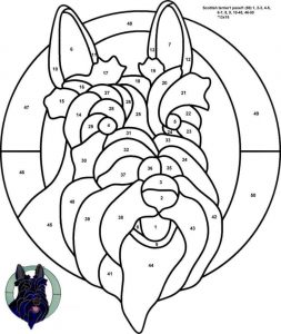 (120+ photos et vidéos)