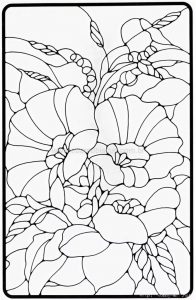 (120+ photos et vidéos)