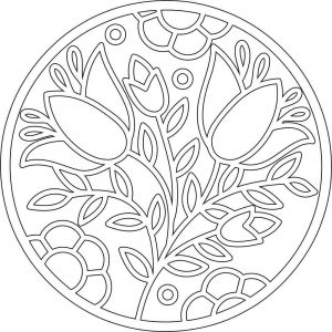 (120+ photos et vidéos)