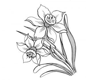 (120+ photos et vidéos)