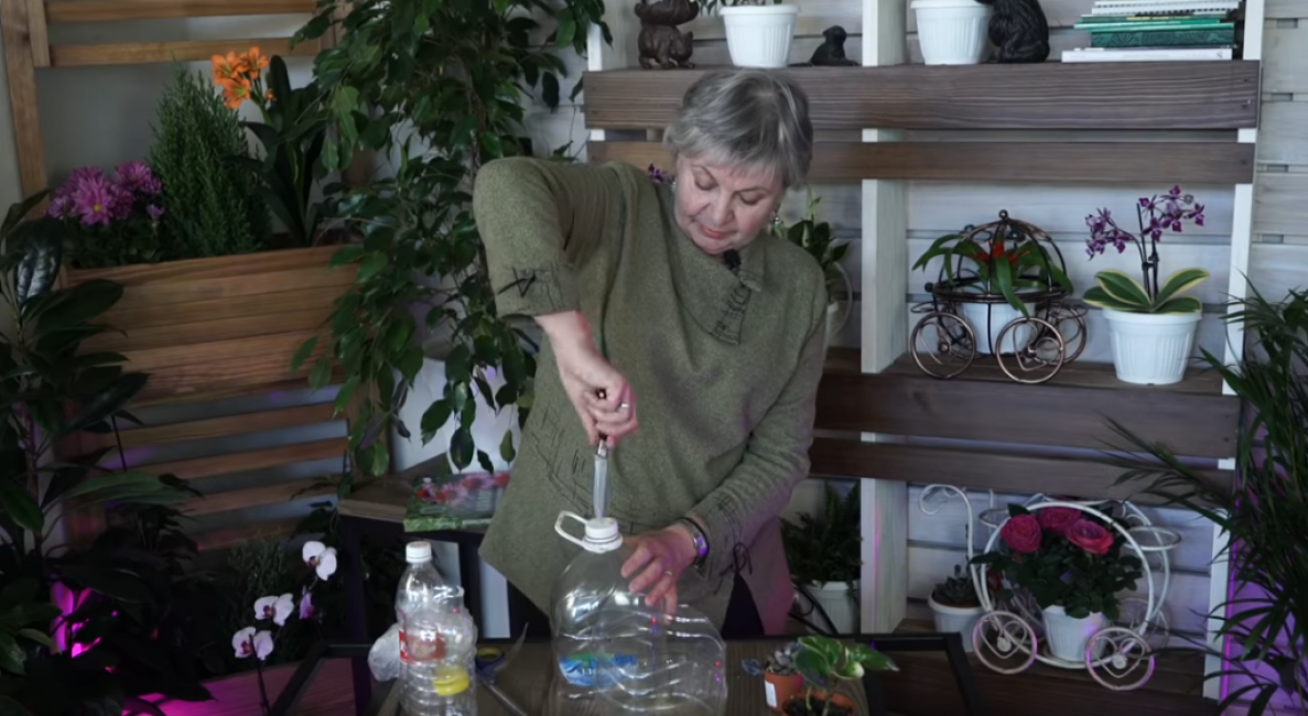 À l'aide d'un couteau bien aiguisé, nous faisons un trou dans le couvercle. La même chose peut être faite avec un clou.