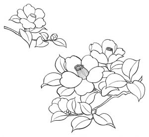 (120+ photos et vidéos)