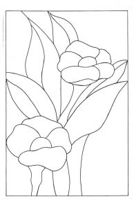 (120+ photos et vidéos)