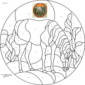 (120+ photos et vidéos)