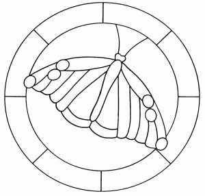 (120+ photos et vidéos)