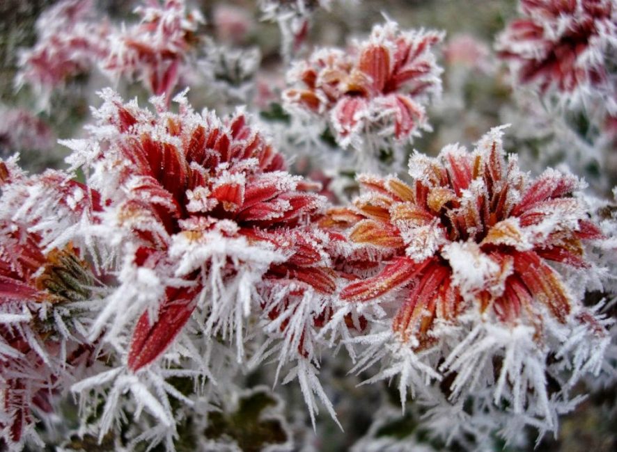 Luminosité de novembre
