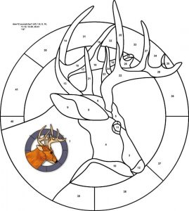 (120+ photos et vidéos)