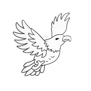 (120+ photos et vidéos)